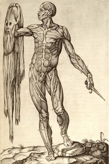Anatomia del corpo humano von Juan Valverde de Amusco