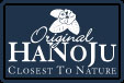 Logo Hanoju